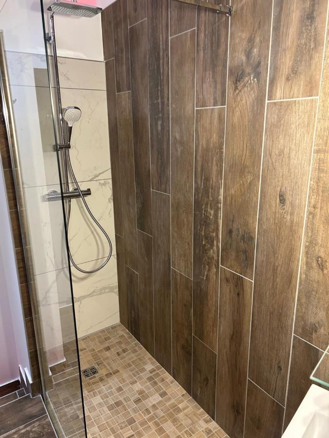 Chambre La Suite Pres Gare グルノーブル エクステリア 写真